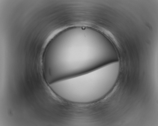 X0000115501184200911061016