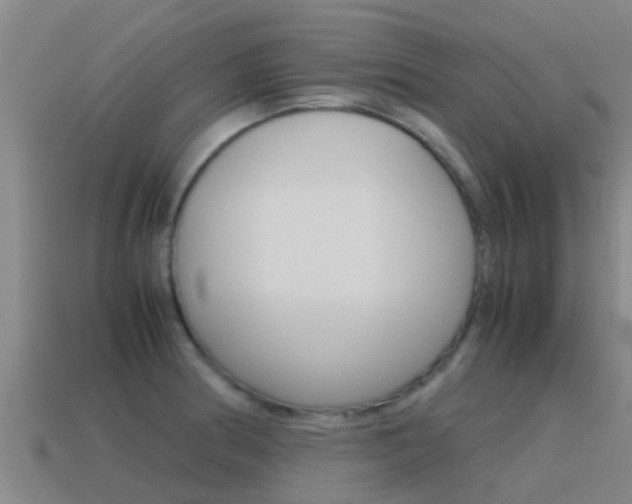 X0000115501186200911061016