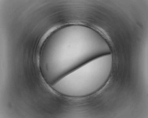 X0000115501188200911061016