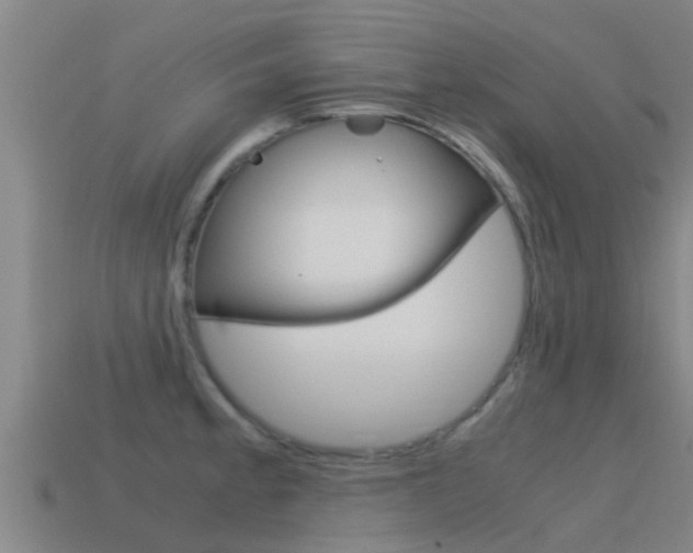 X0000115501189200911061016