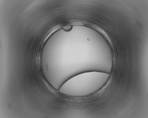 X0000115501194200911061016