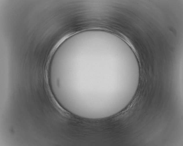 X0000115501195200911061016