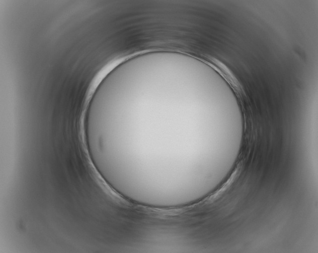 X0000115501196200911061016