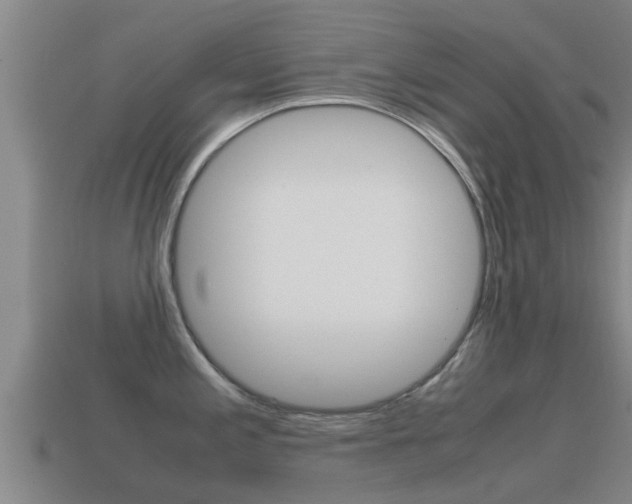 X0000115501197200911061016