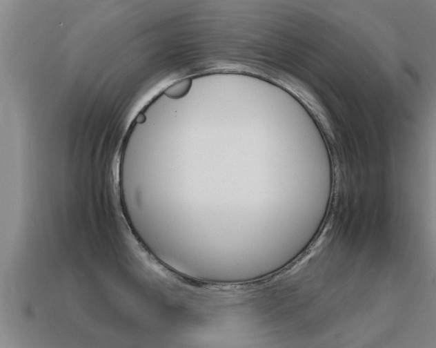 X0000115501198200911061016