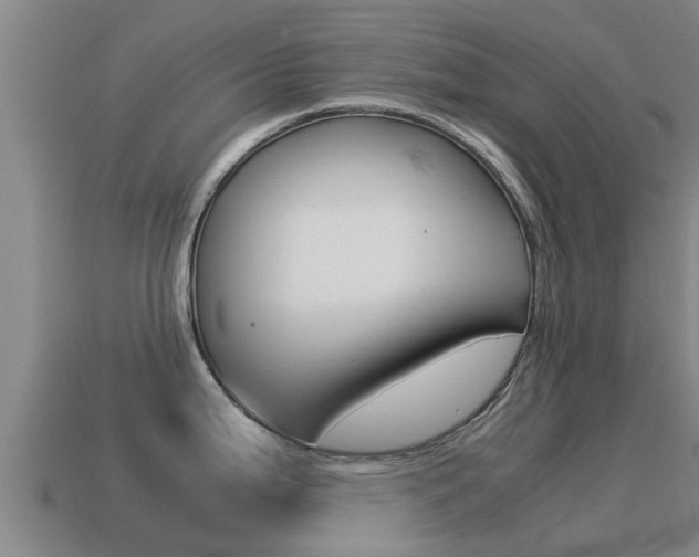 X0000115501199200911061016