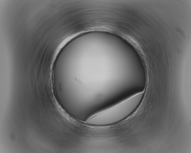 X0000115501200200911061016