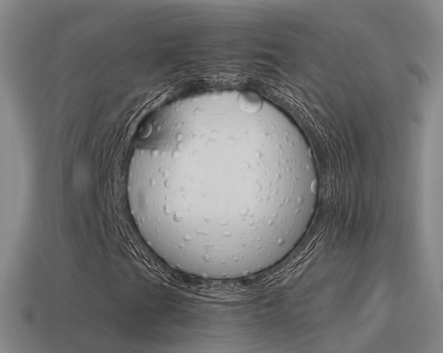 X0000115501201200911061015