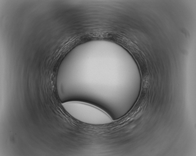 X0000115501202200911061015