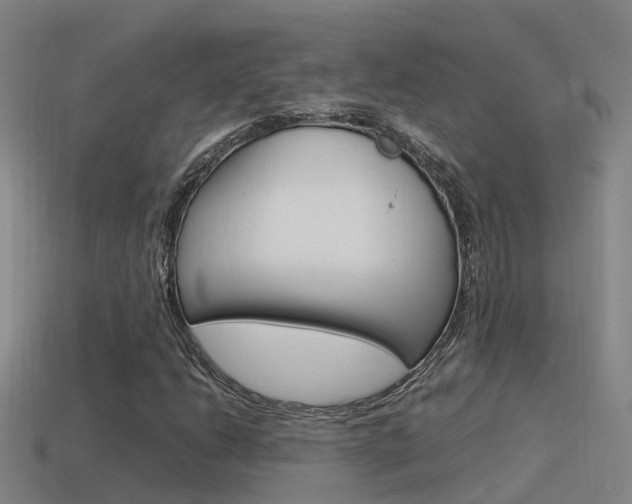 X0000115501206200911061015