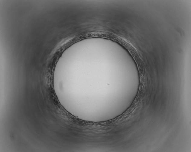 X0000115501207200911061015