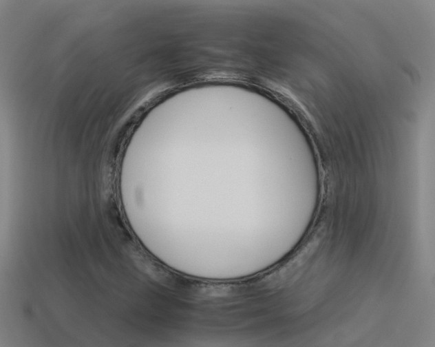 X0000115501211200911061015
