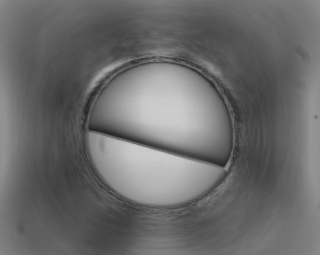 X0000115501214200911061015