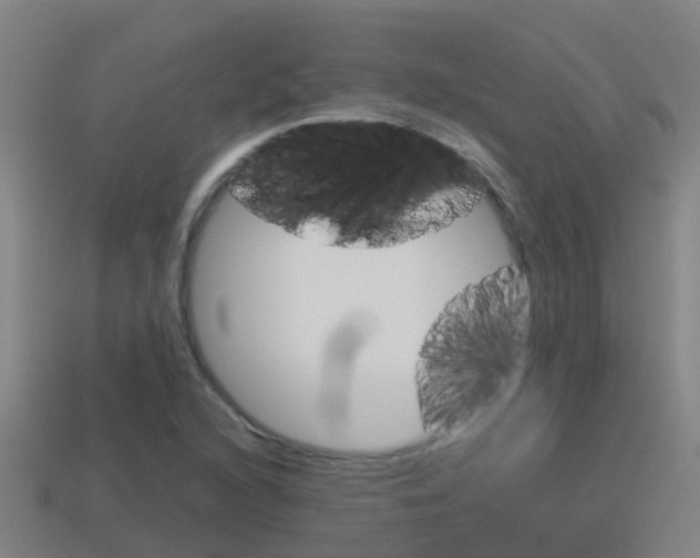 X0000115501216200911061015