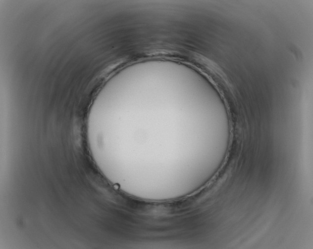 X0000115501217200911061015