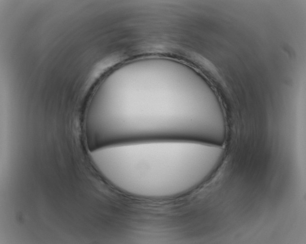 X0000115501218200911061015
