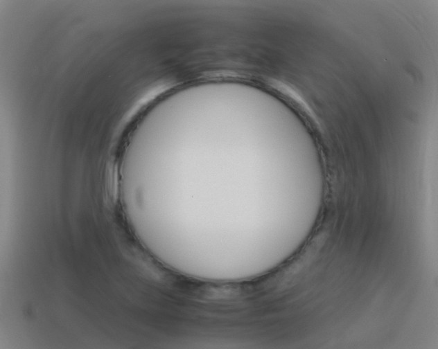 X0000115501219200911061015