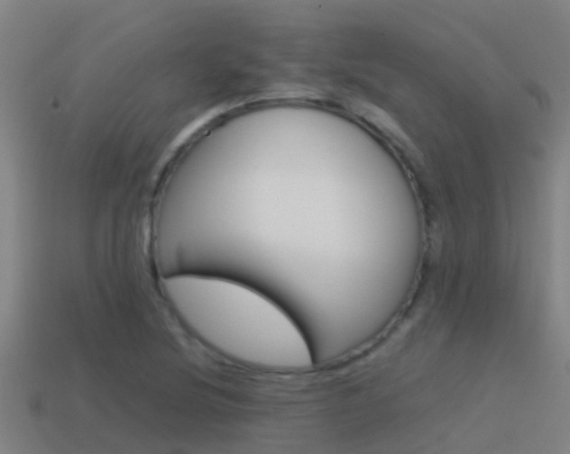 X0000115501220200911061015