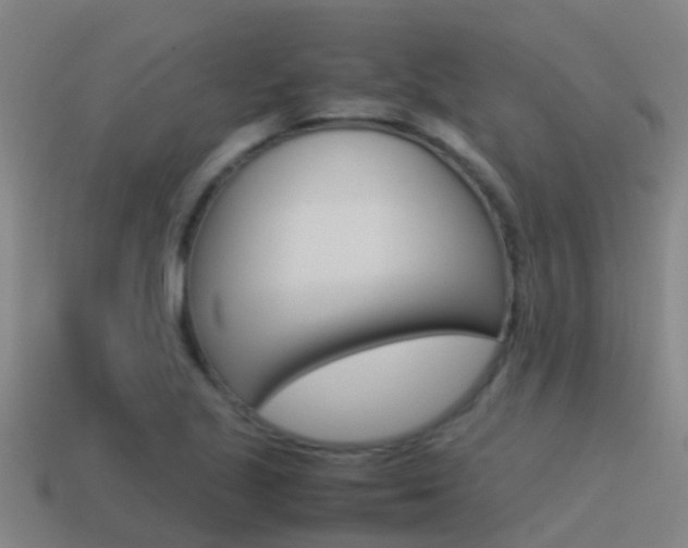 X0000115501221200911061015
