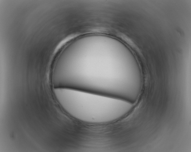X0000115501222200911061015