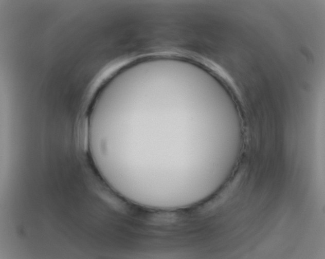 X0000115501223200911061015