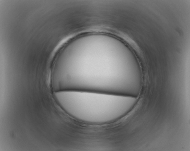 X0000115501224200911061015