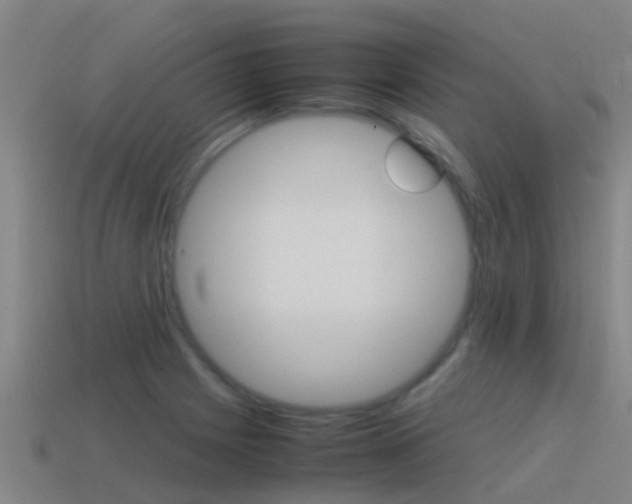 X0000115501225200911061015