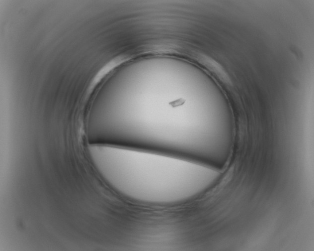 X0000115501226200911061015