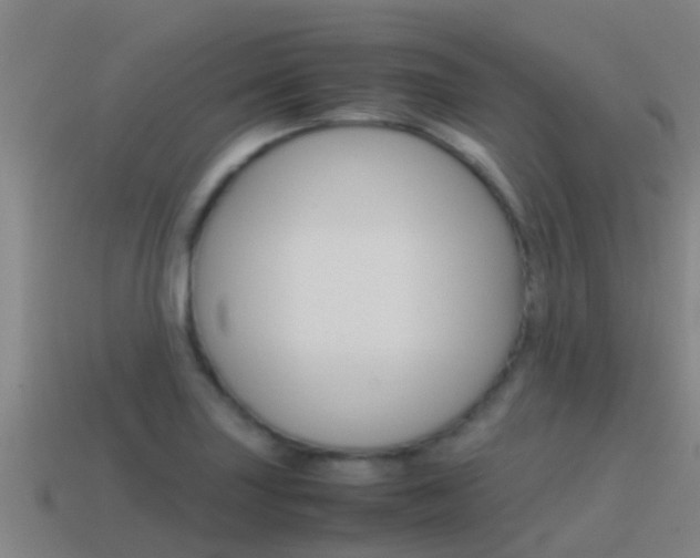 X0000115501227200911061015