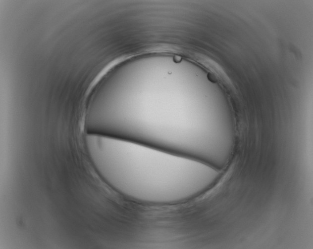 X0000115501228200911061015