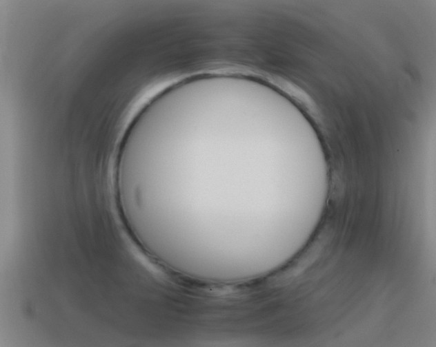 X0000115501231200911061015