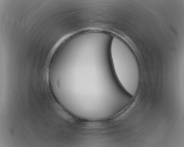X0000115501232200911061015