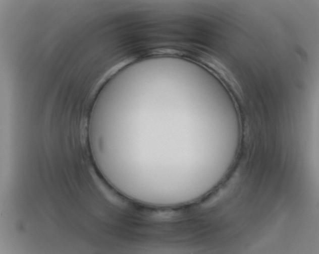X0000115501233200911061015