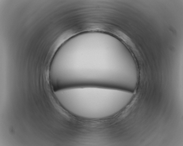 X0000115501234200911061015