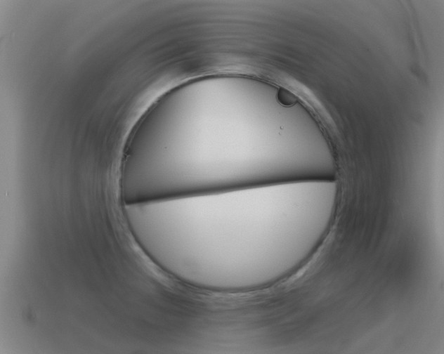 X0000115501236200911061016