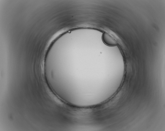 X0000115501238200911061016