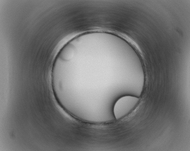 X0000115501239200911061016