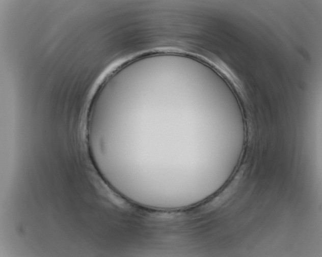 X0000115501240200911061016