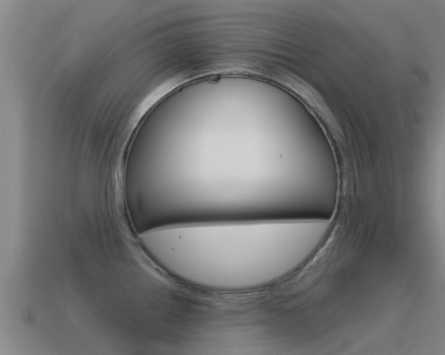 X0000115501242200911061016