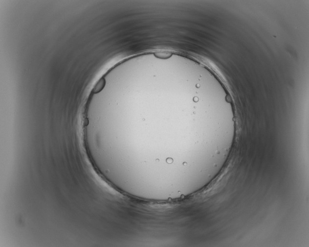 X0000115501243200911061016