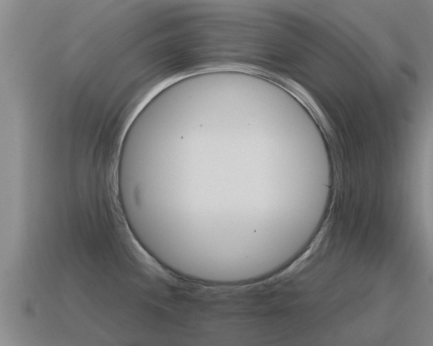 X0000115501244200911061016