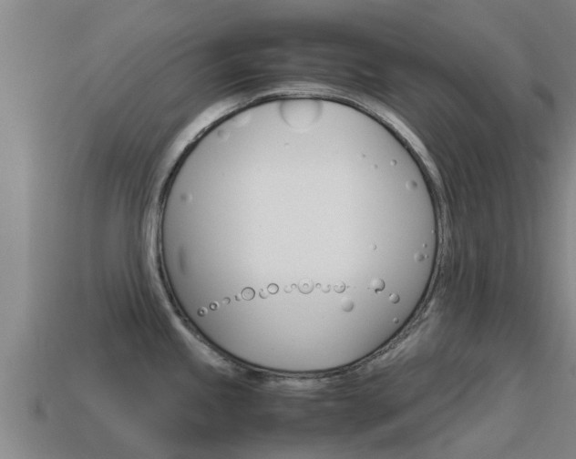 X0000115501245200911061016