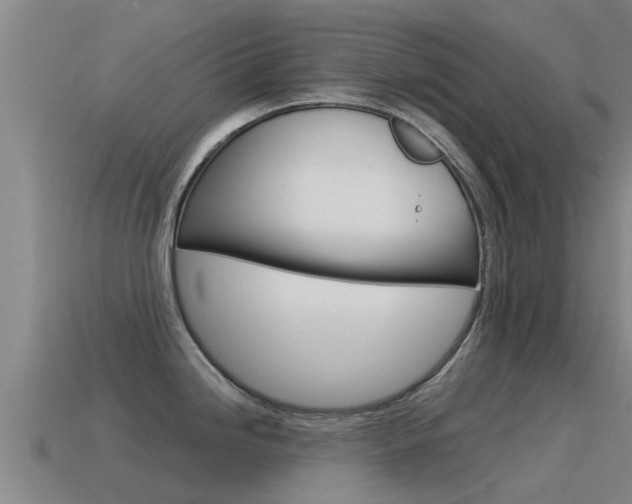 X0000115501246200911061016