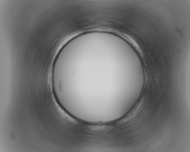 X0000115501247200911061016
