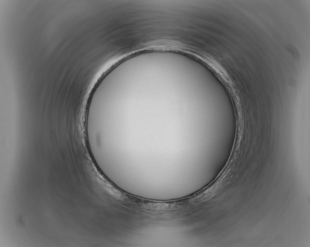 X0000115501248200911061016