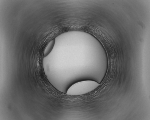 X0000115501250200911061015