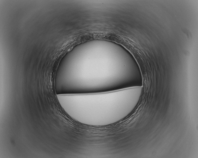 X0000115501252200911061015