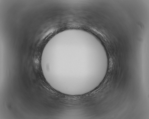 X0000115501254200911061015