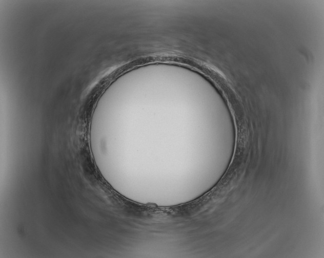 X0000115501255200911061015