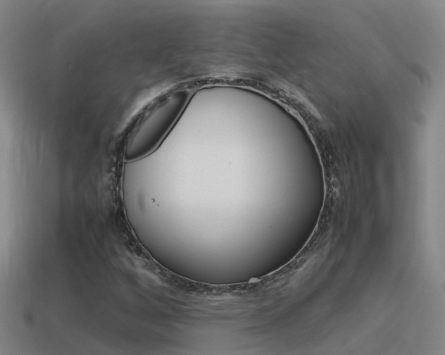 X0000115501256200911061015